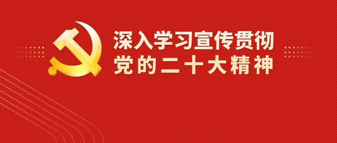 中國共產黨第二十次全國代表大會